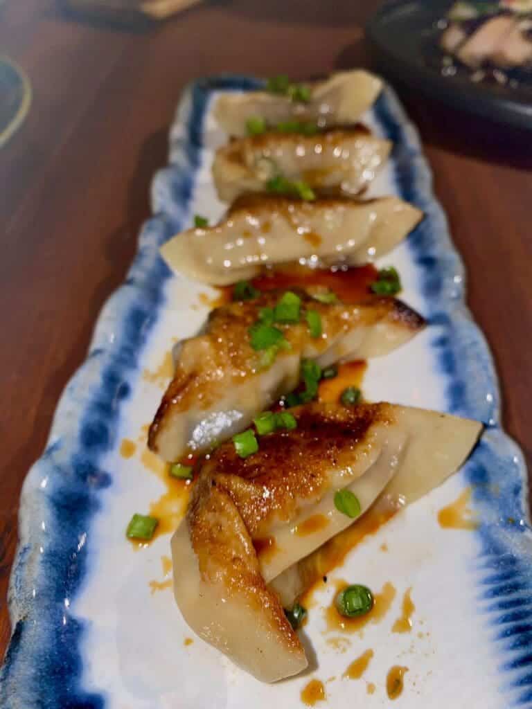 Pan-Seared-Gyoza-Dumplings-with-Soy-Glaze-and-Green-Onions private chef barbuda